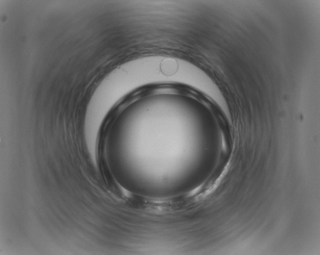 X0000066100174200603101150