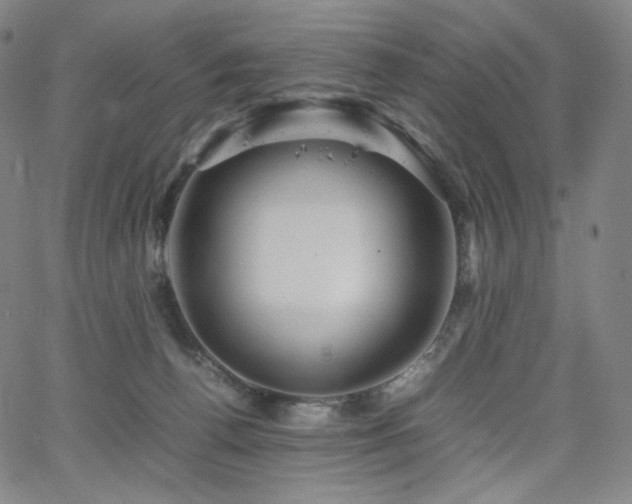 X0000066100176200603101150