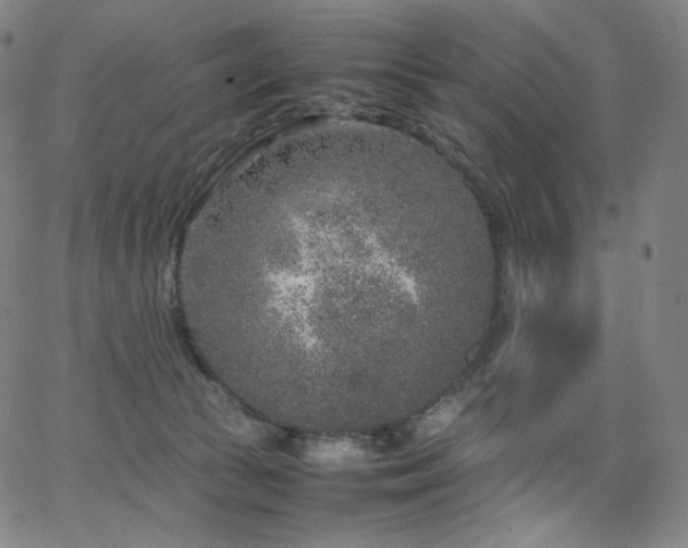 X0000066100177200603101150