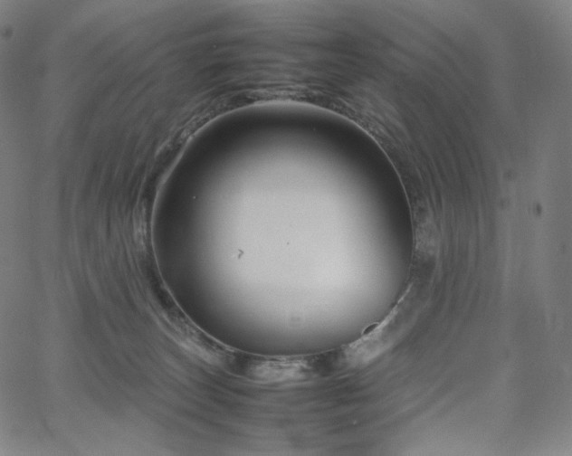 X0000066100179200603101150