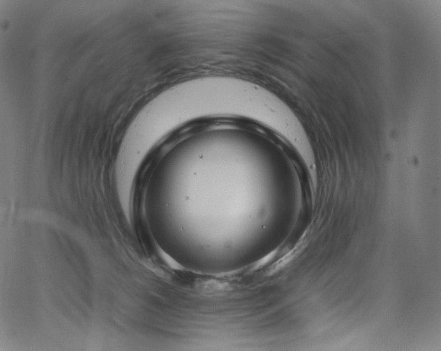 X0000066100180200603101150