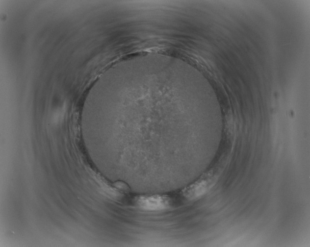 X0000066100181200603101150