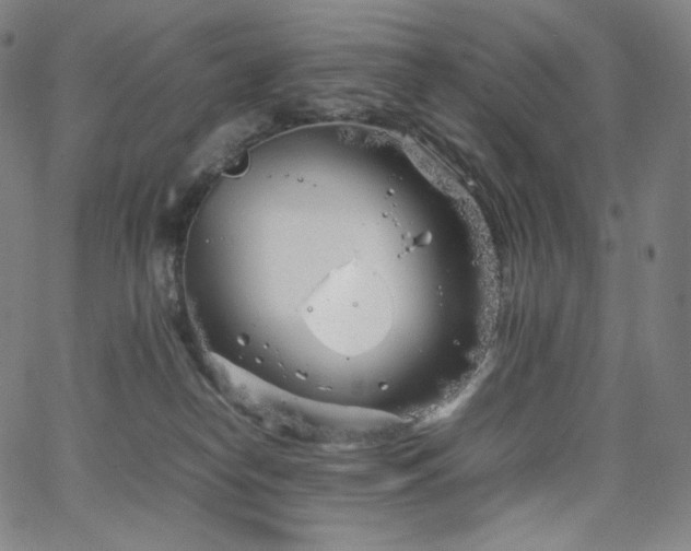 X0000066100182200603101150