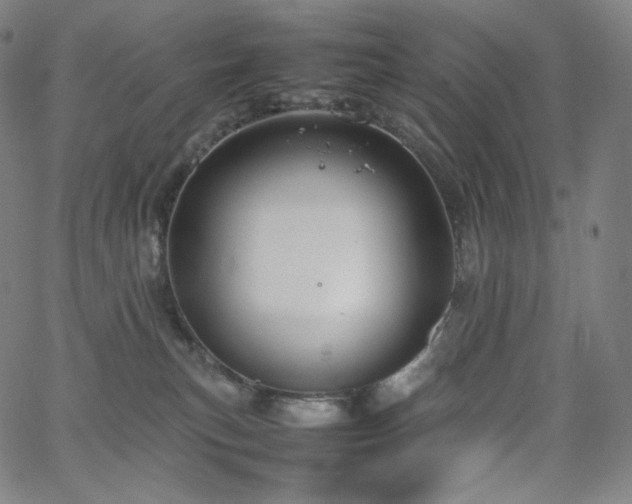 X0000066100183200603101150