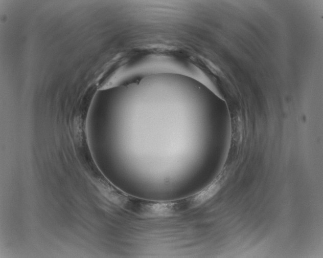 X0000066100184200603101150