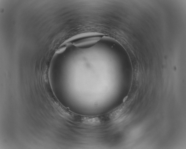 X0000066100185200603101150