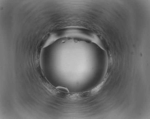 X0000066100186200603101150