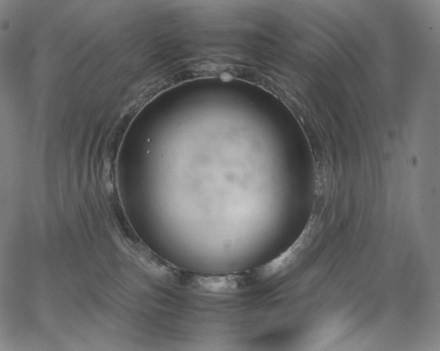 X0000066100187200603101150