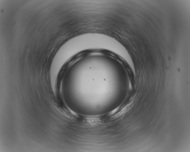 X0000066100188200603101150