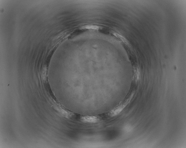 X0000066100189200603101150