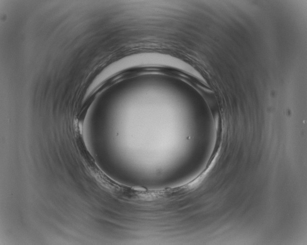 X0000066100190200603101150