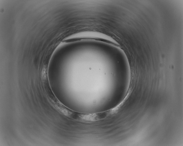 X0000066100191200603101150