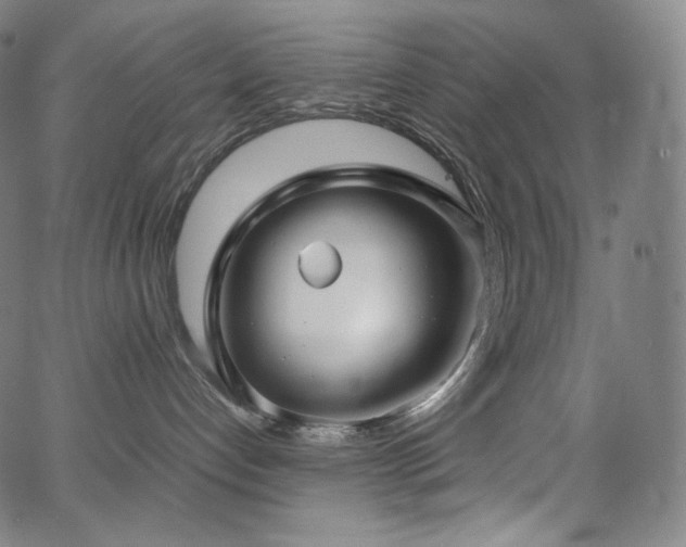 X0000066100192200603101150