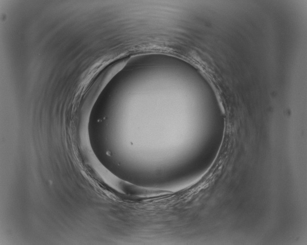 X0000066100193200603101150