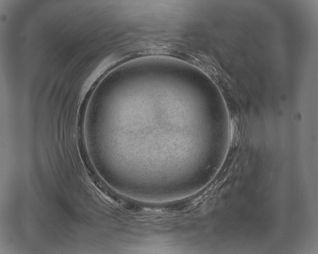 X0000066100195200603101149