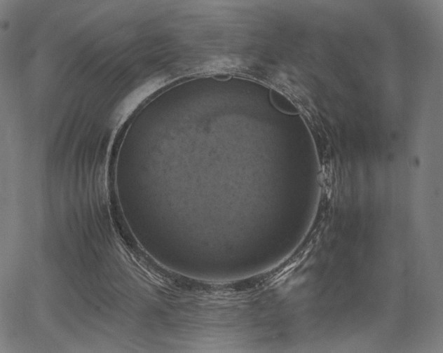 X0000066100196200603101149