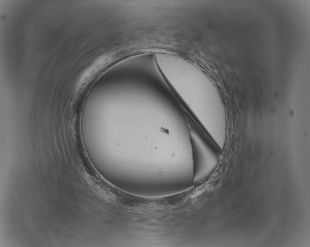 X0000066100197200603101149