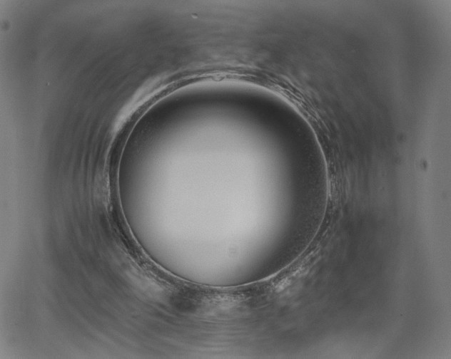 X0000066100198200603101149