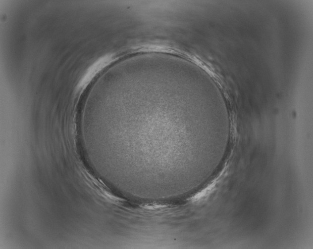 X0000066100199200603101149