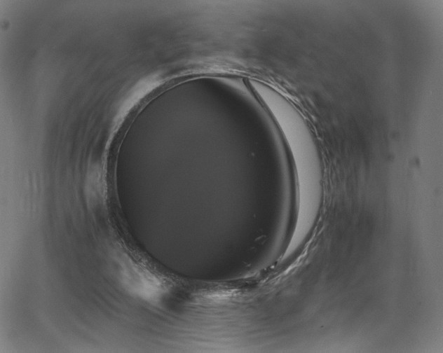 X0000066100200200603101149