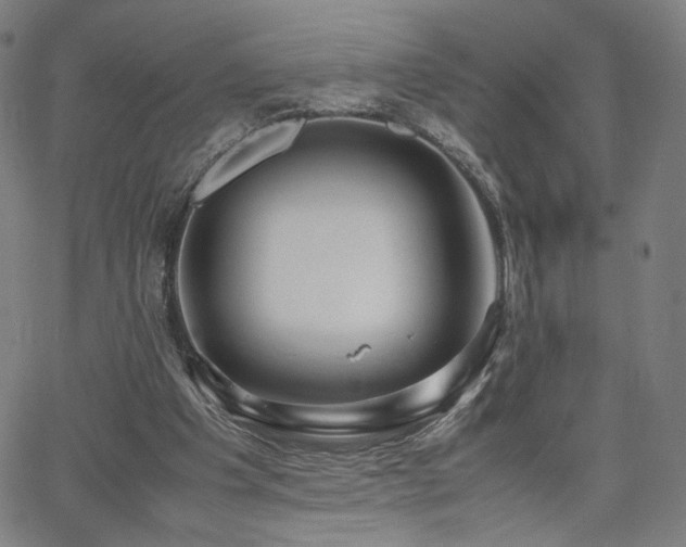 X0000066100201200603101149