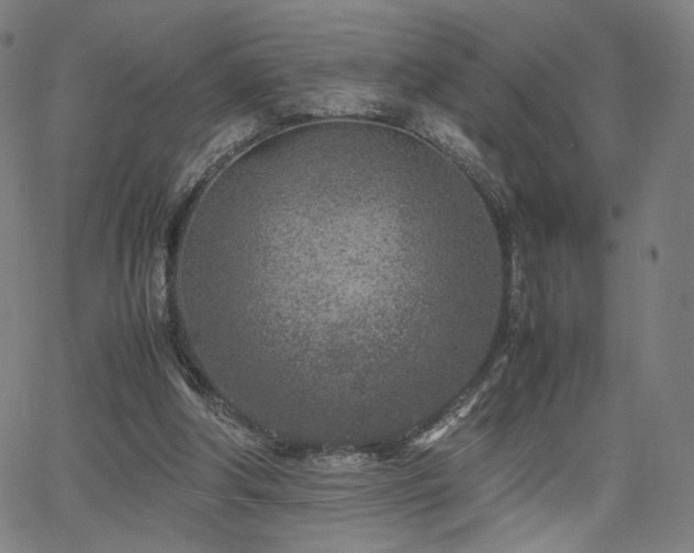 X0000066100202200603101149