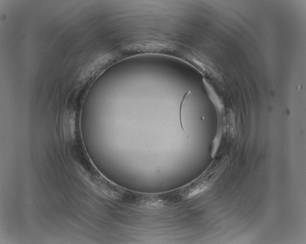 X0000066100206200603101149