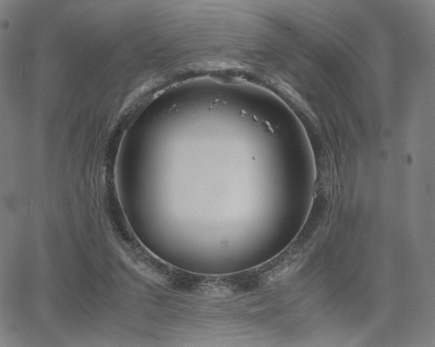 X0000066100207200603101149