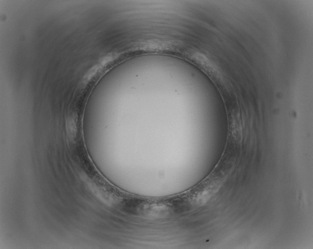 X0000066100208200603101149