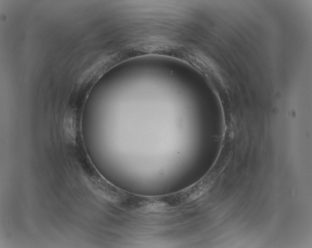 X0000066100210200603101149