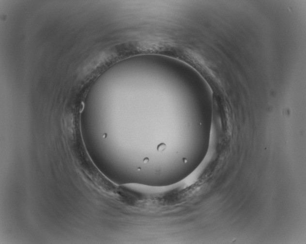 X0000066100211200603101149