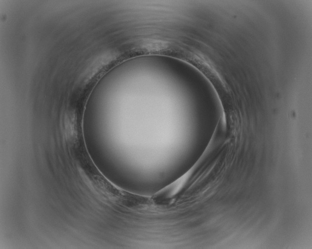 X0000066100212200603101149