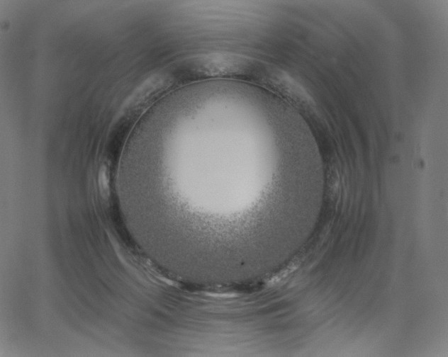 X0000066100214200603101149