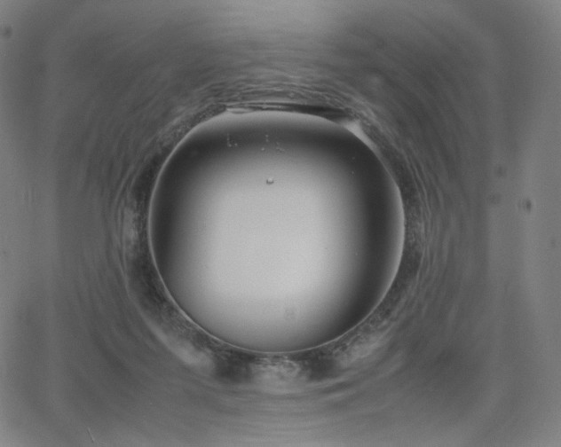 X0000066100215200603101149