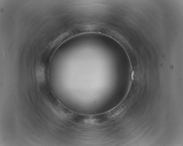 X0000066100216200603101149