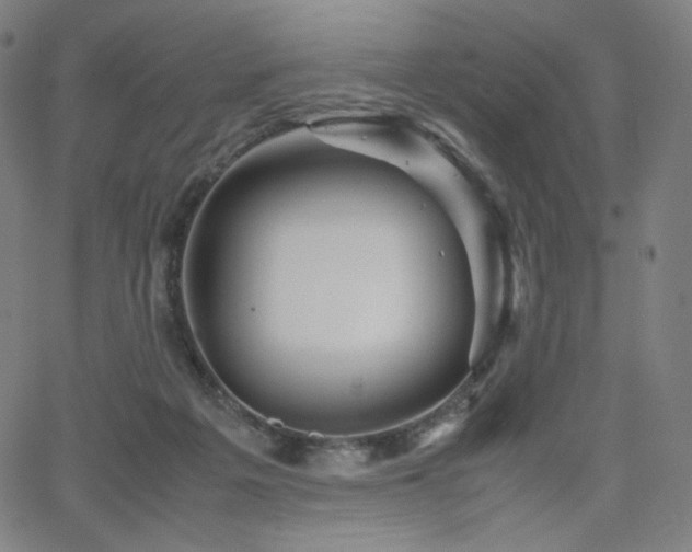 X0000066100217200603101149