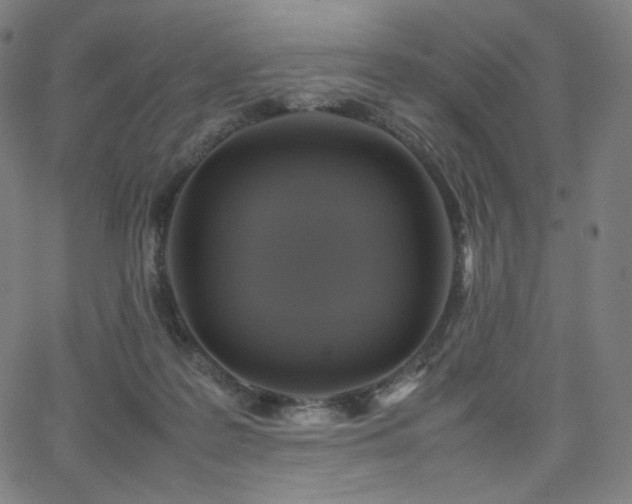 X0000066100219200603101149