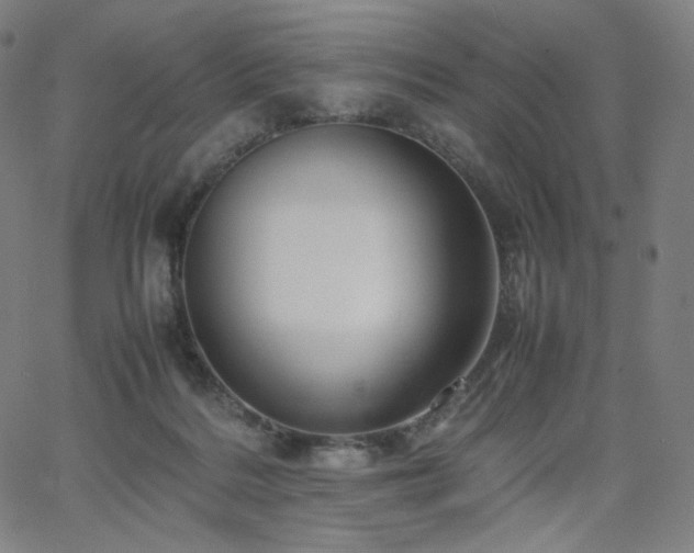 X0000066100220200603101149