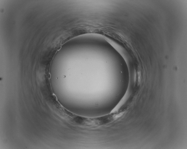 X0000066100221200603101149