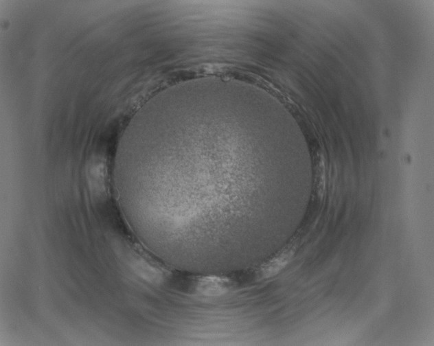 X0000066100222200603101149