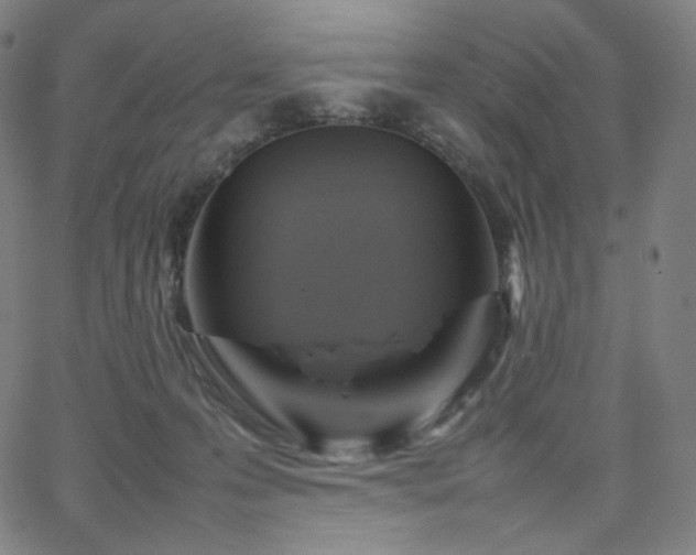 X0000066100223200603101149