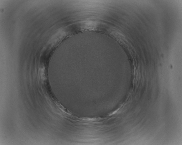 X0000066100224200603101149