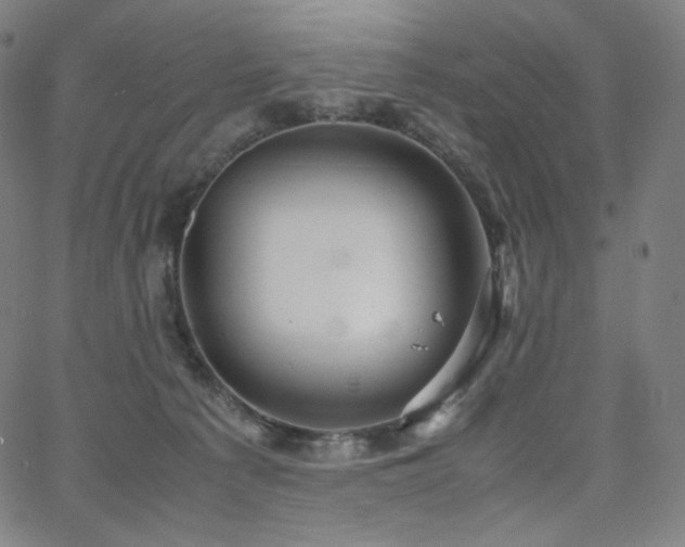 X0000066100225200603101149