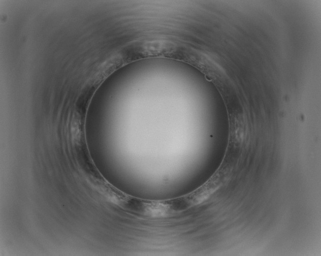 X0000066100226200603101149