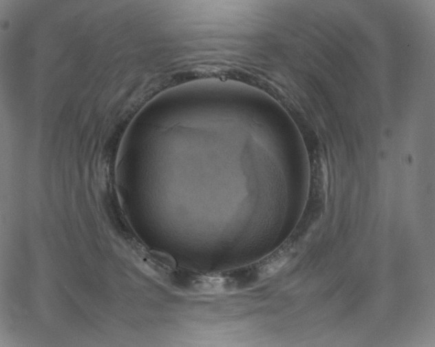 X0000066100227200603101149