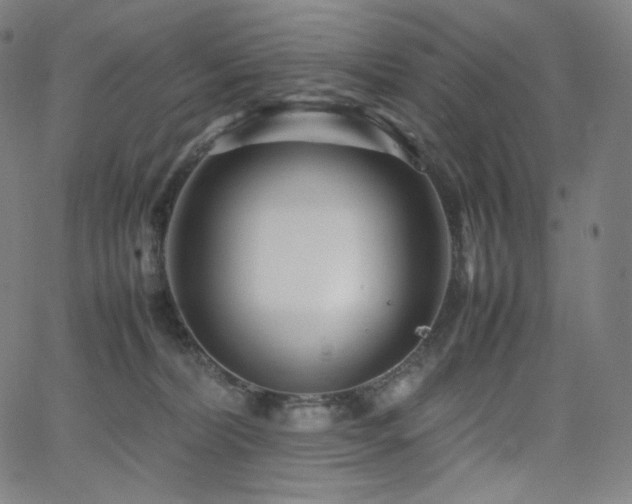 X0000066100228200603101149