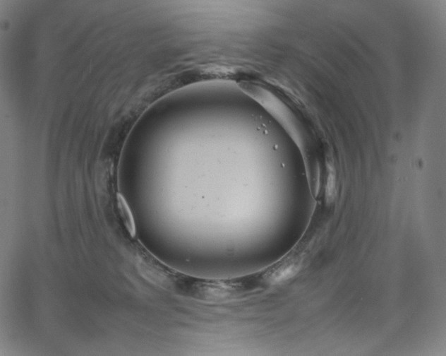 X0000066100229200603101149