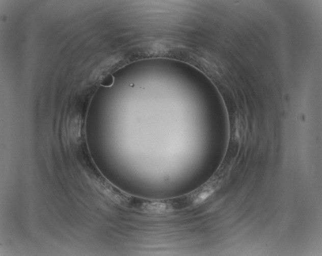 X0000066100230200603101149