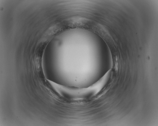 X0000066100232200603101149