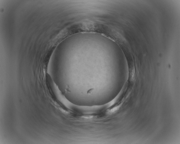 X0000066100233200603101149